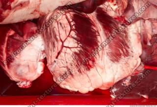 Photo Textures of Beef Viscera